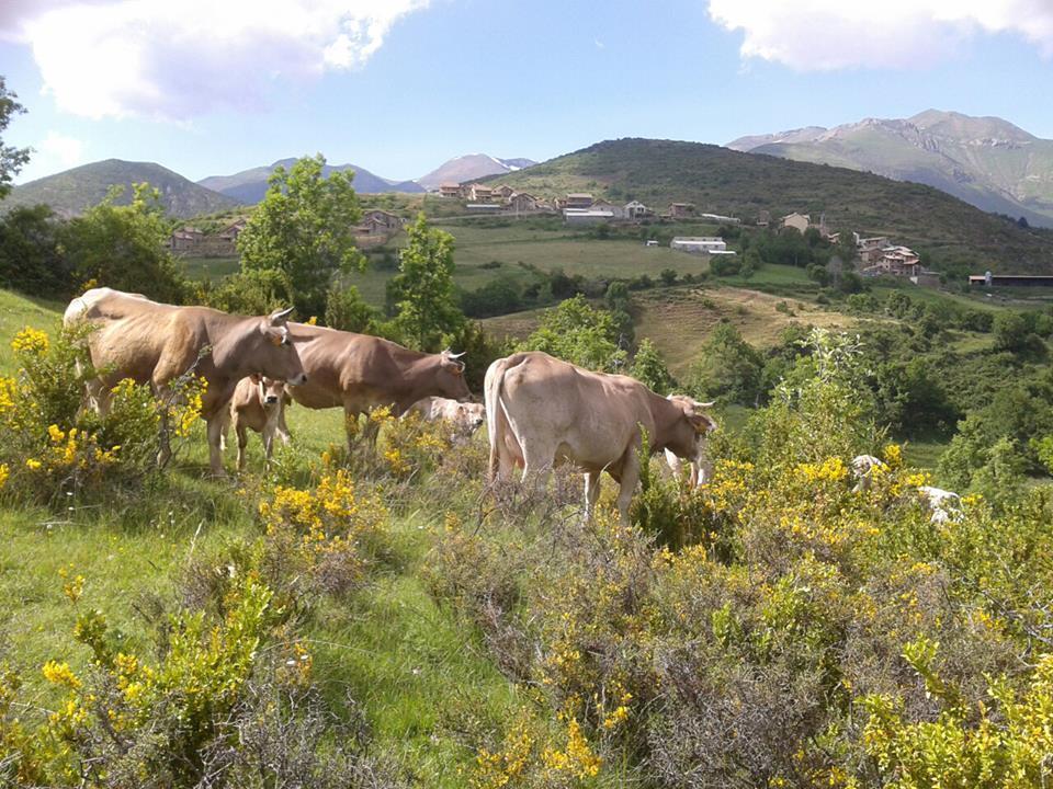Turismo Rural Castell Neril Exterior foto